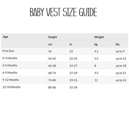 Personalised Born in 2026 Blue Balloons Baby Outfit: Bib, Vest, Baby Grow