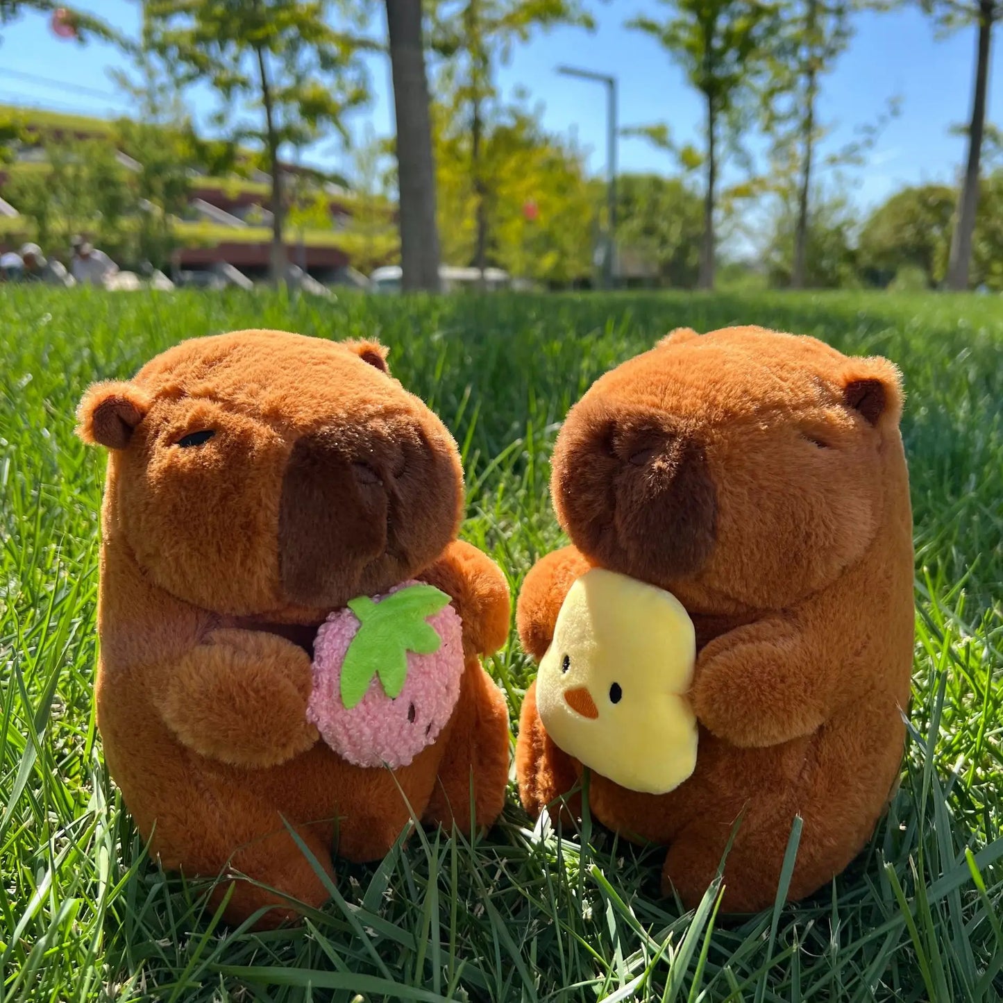 Capybara Plush Toys