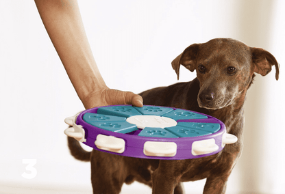 Engaging Dog Learning Toys